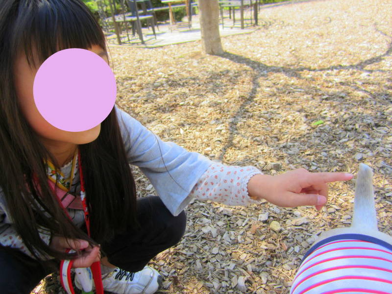 d0264176_17392141.jpg
