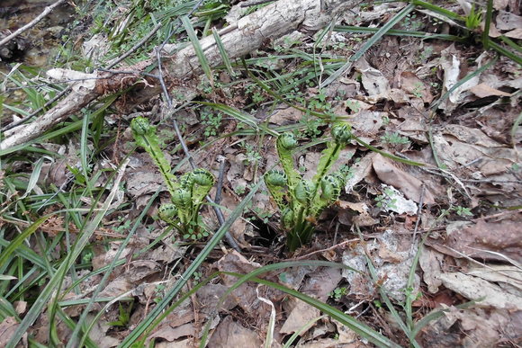 c0237780_20312360.jpg
