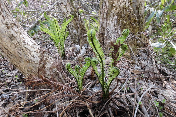 c0237780_20314335.jpg