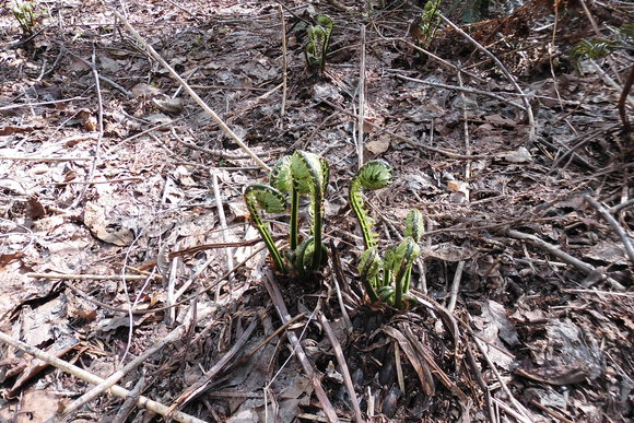 c0237780_2032235.jpg