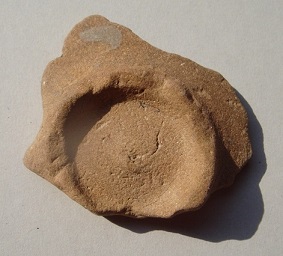 e0060485_8223964.jpg