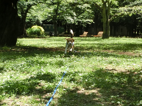 a0319693_13562149.jpg