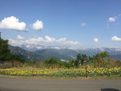 a0158296_1326138.jpg
