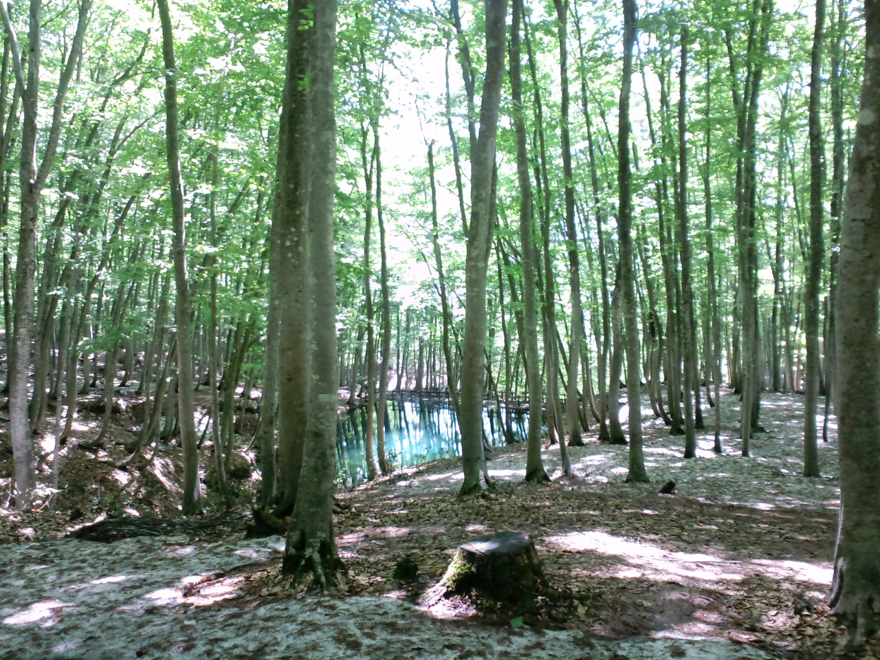 a0203003_13275137.jpg