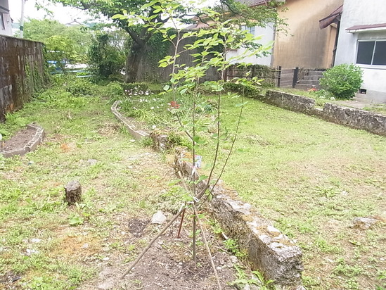 c0238603_1759293.jpg