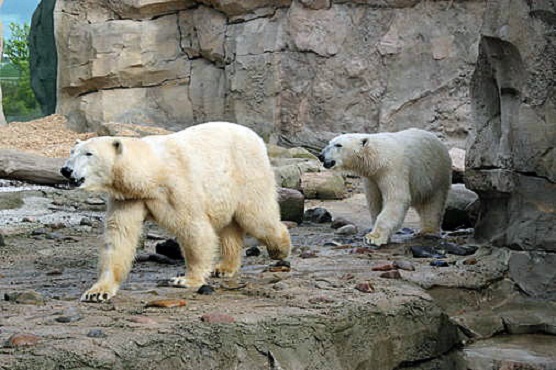 a0151913_23511169.jpg