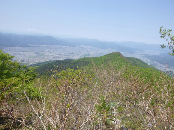d0170615_11302115.jpg