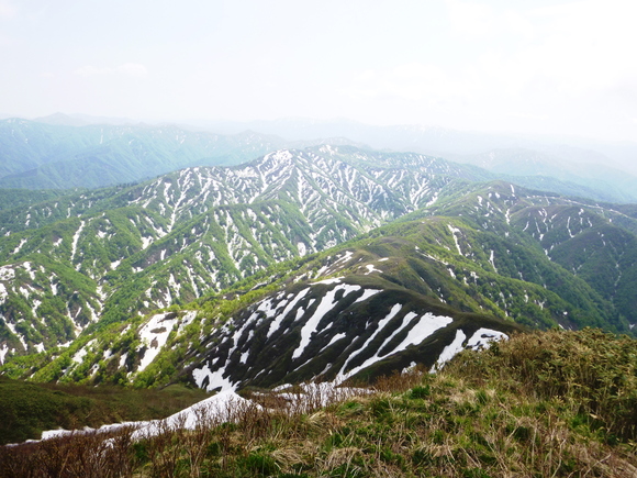d0170615_11315581.jpg