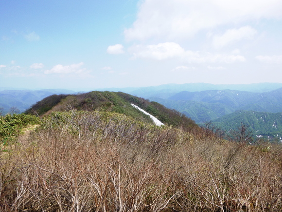 d0170615_1132481.jpg