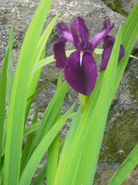e0026017_21511565.jpg
