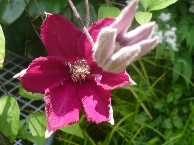 e0026017_21534042.jpg