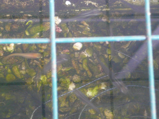 e0026017_21594395.jpg