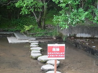 f0191517_13475073.jpg