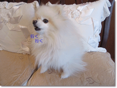 b0167519_20565638.gif