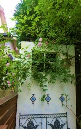 c0204121_83580.jpg