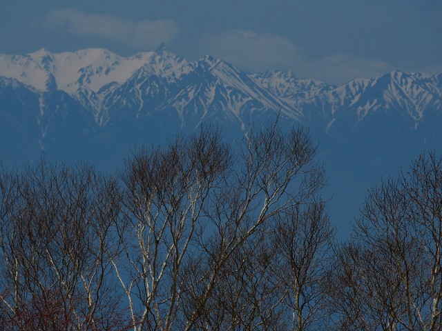 e0242721_811375.jpg