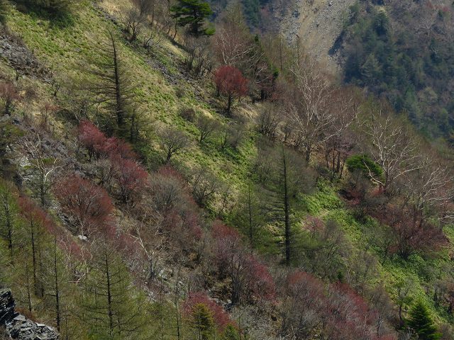 e0242721_8122591.jpg