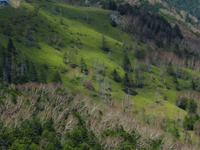 e0242721_813137.jpg