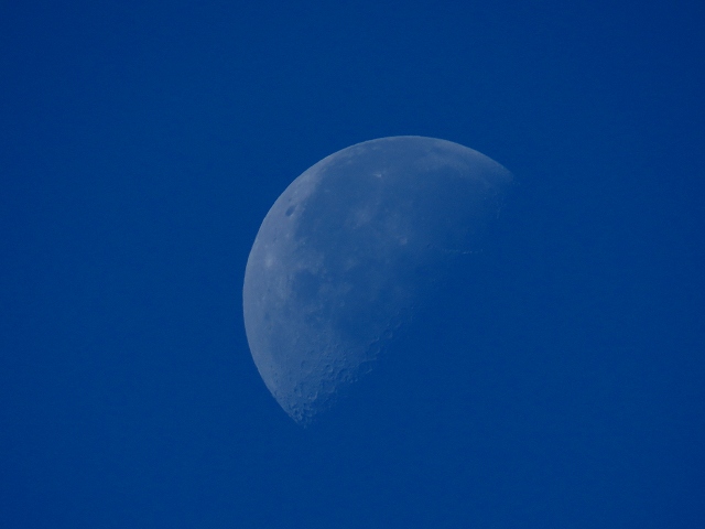 e0242721_8151891.jpg