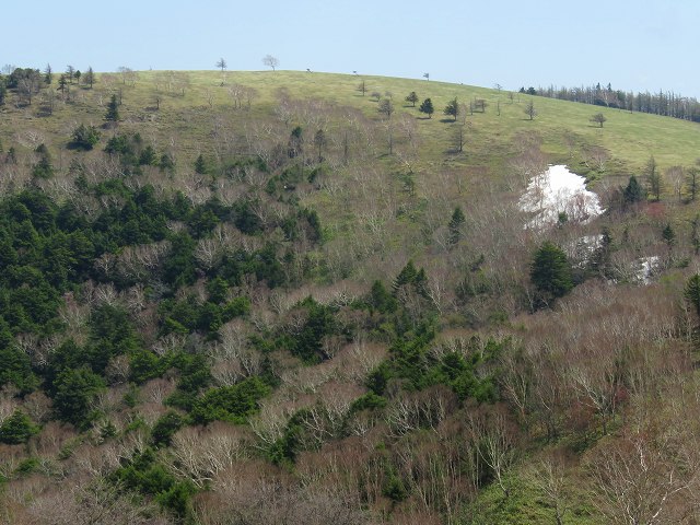 e0242721_872234.jpg