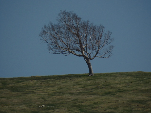 e0242721_875679.jpg