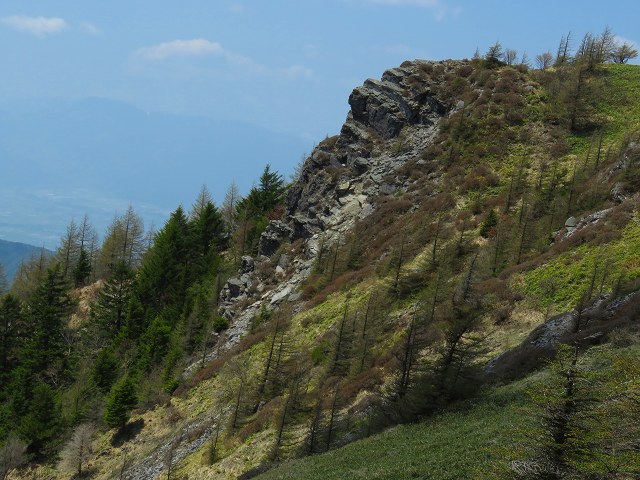 e0242721_884945.jpg