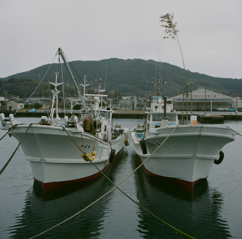 d0115428_163106.jpg