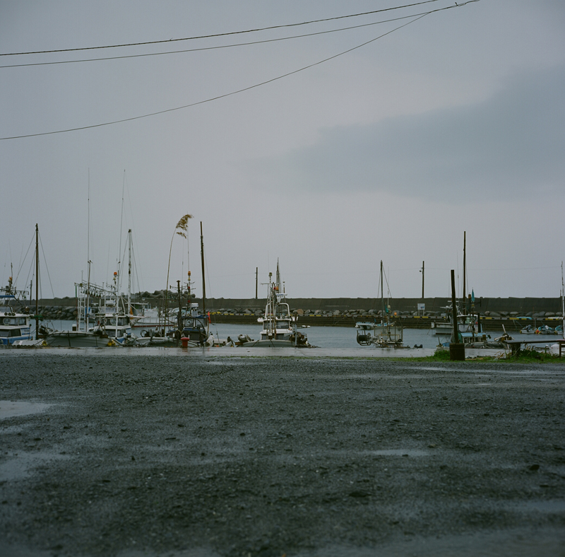 d0115428_1634169.jpg