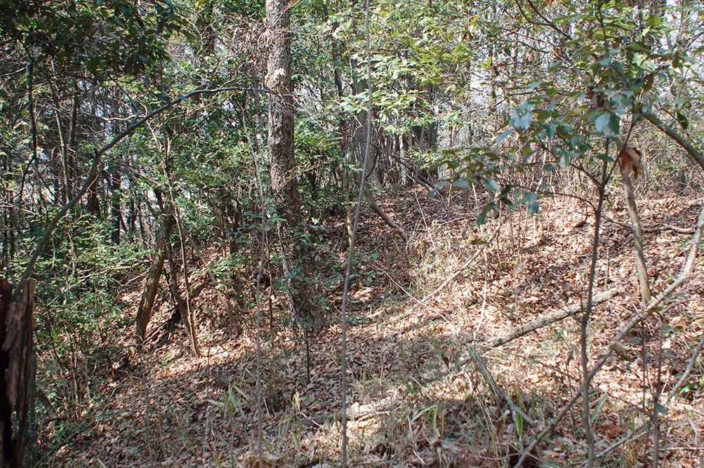e0158128_15424196.jpg