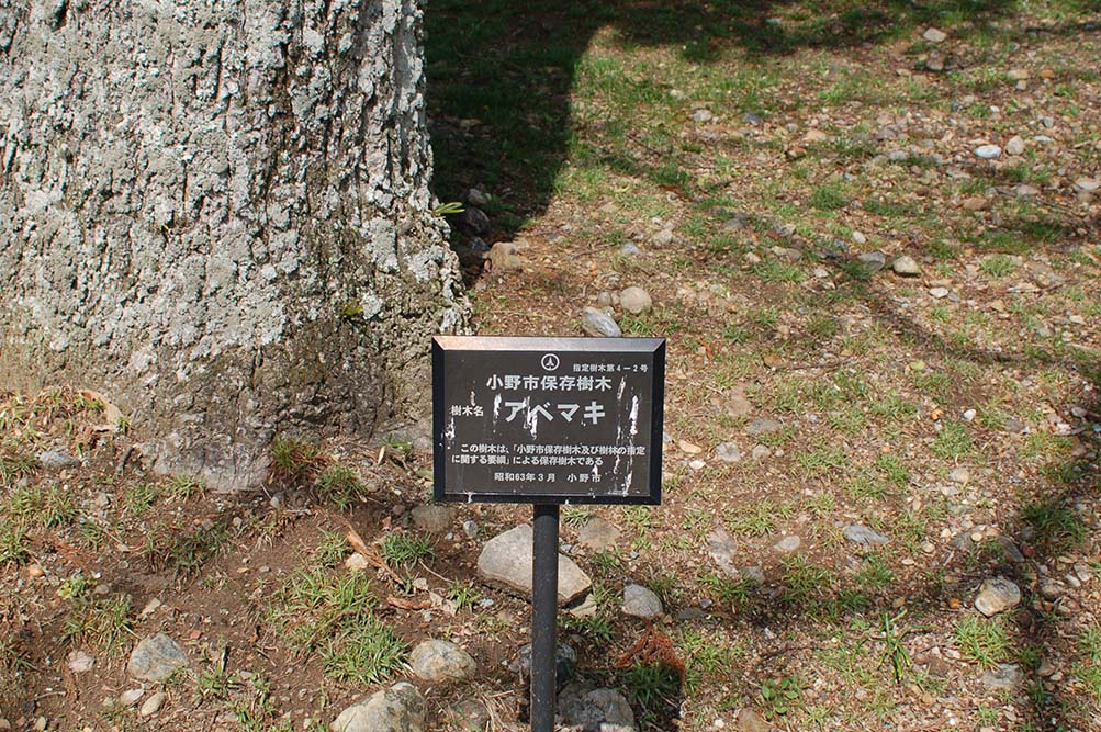 e0158128_15475415.jpg
