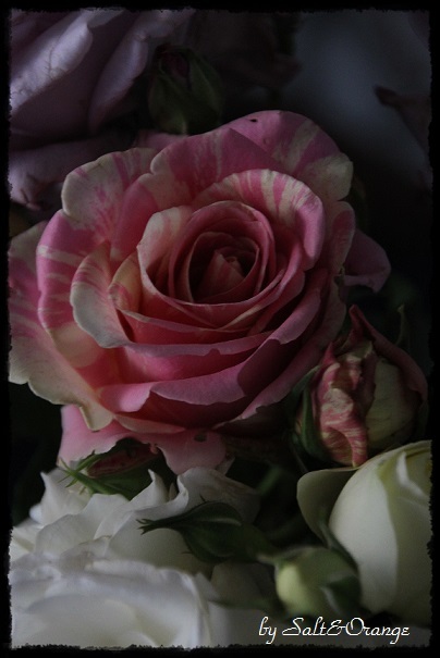 e0246732_22374487.jpg