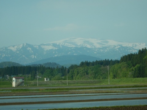 f0118332_20123044.jpg