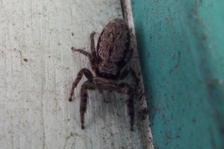 f0118332_20191817.jpg