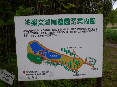 e0272335_19245522.jpg