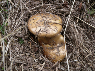 e0272335_19513080.jpg