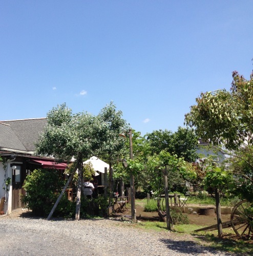 d0106242_14491036.jpg