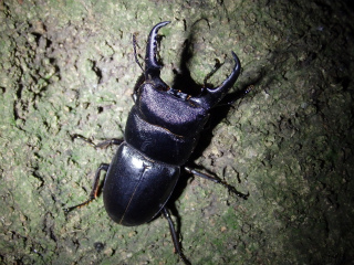 f0104042_0285797.jpg