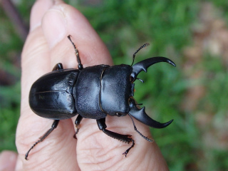 f0104042_029330.jpg