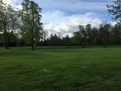 b0148547_1532875.jpg