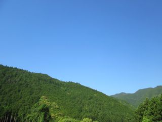 a0054948_1022571.jpg