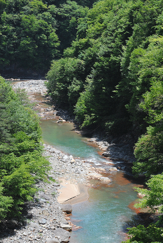 a0001354_22243684.gif