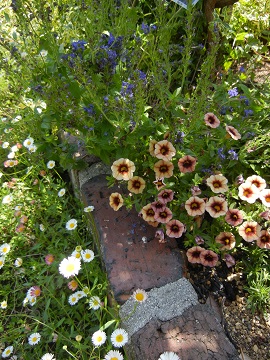 e0224654_225517.jpg