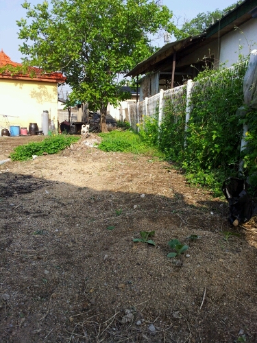 e0186656_1134576.jpg