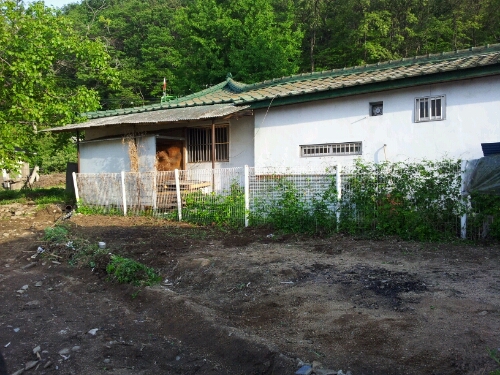e0186656_1154868.jpg