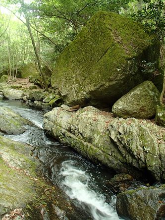 e0044657_081437.jpg