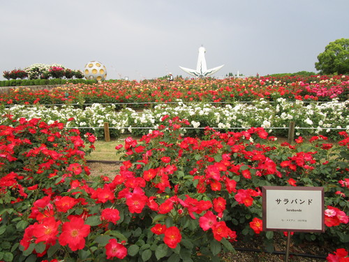 b0245877_2252214.jpg