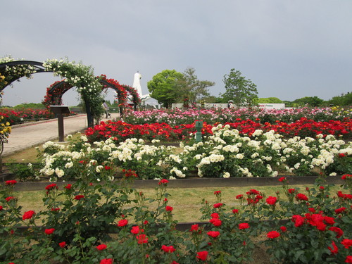 b0245877_236164.jpg
