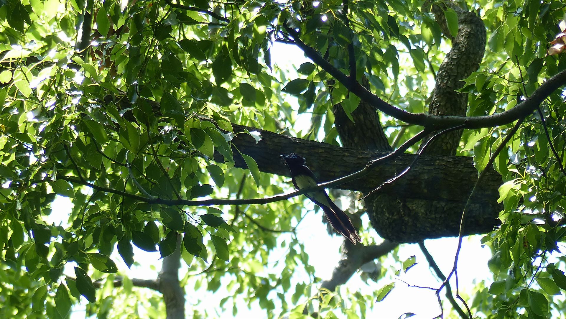 a0185081_22353522.jpg