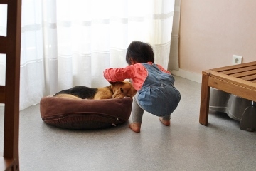 b0195292_22151898.jpg
