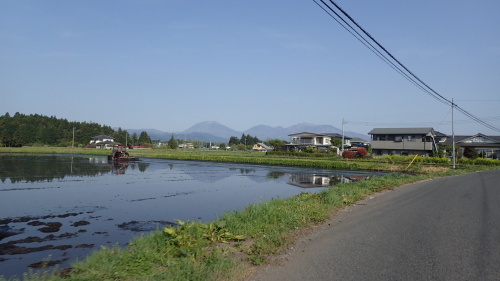 a0338094_22552891.jpg